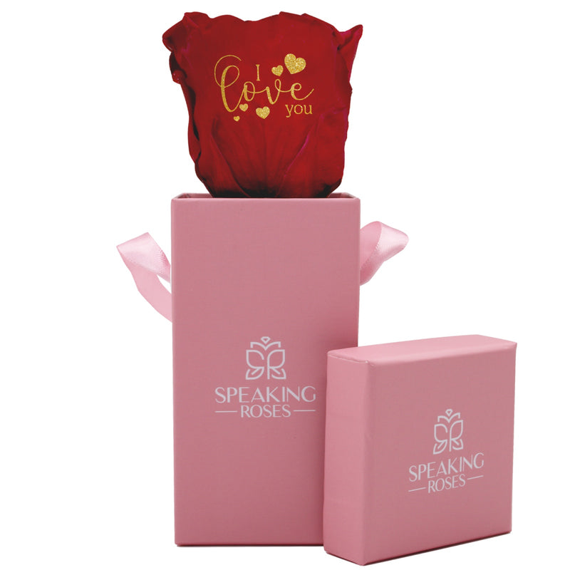 Valentine's day - I love you - Square Pull and Bloom Box (One Premium Rose)