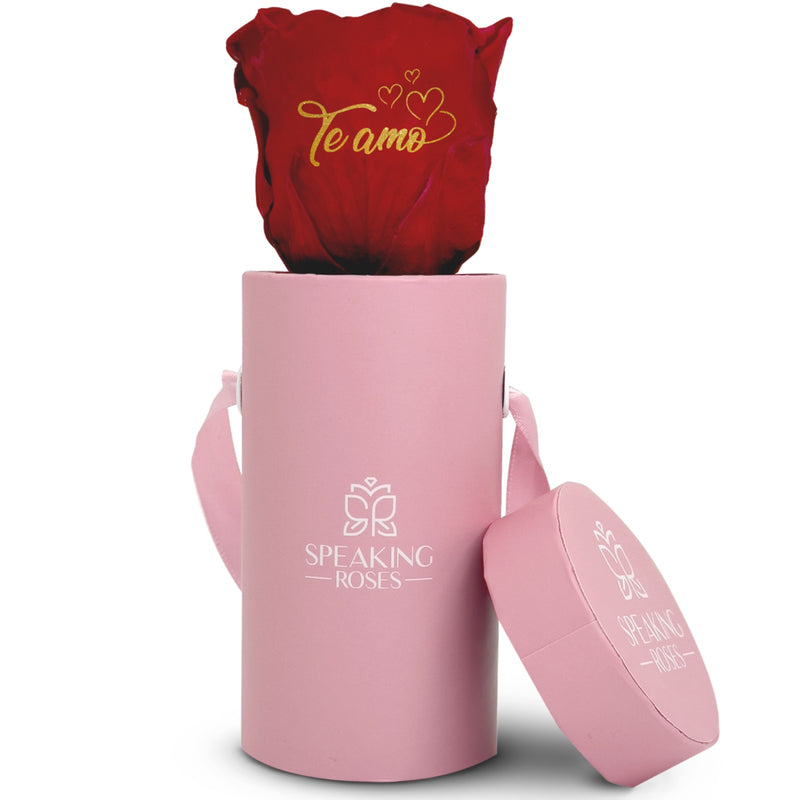 Valentine's day - Te amo - Round Paper Box (One Premium Rose)