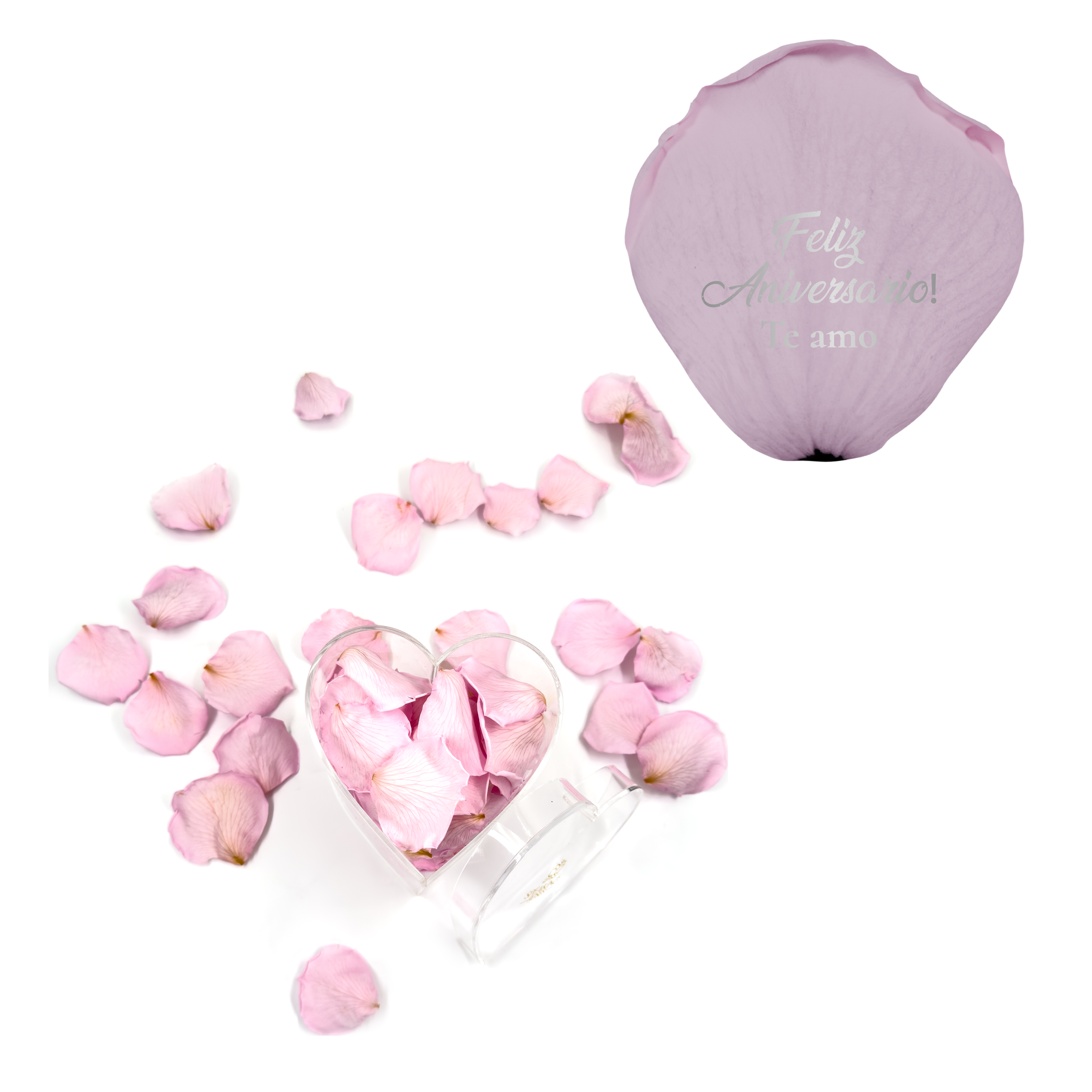 Feliz aniversario! Te amo - Heart Acrylic Box (100 Preserved Petals)