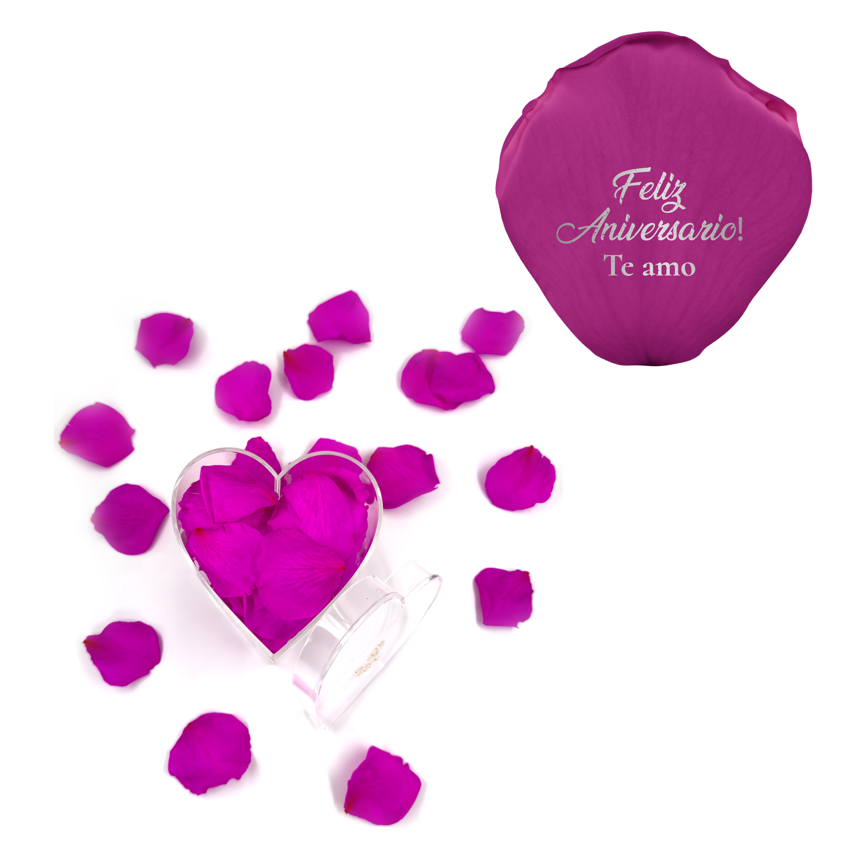 Feliz aniversario! Te amo - Heart Acrylic Box (100 Preserved Petals)