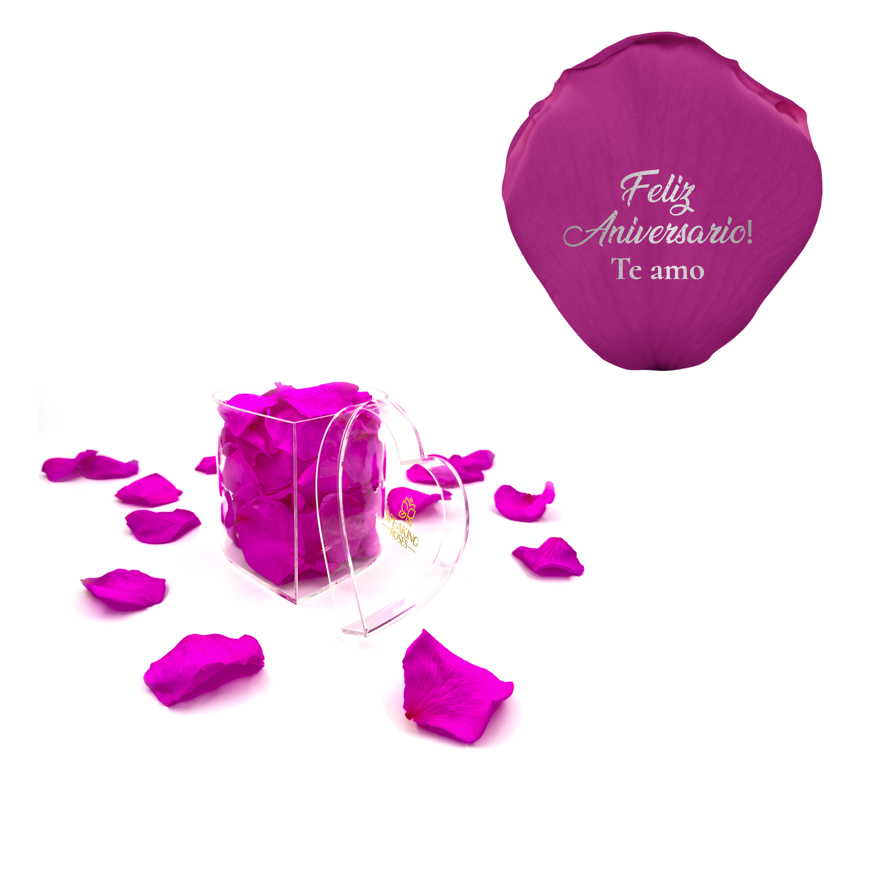 Feliz aniversario! Te amo - Heart Acrylic Box (100 Preserved Petals)