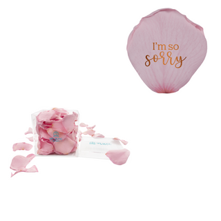 I’m so sorry - Acrylic Square Box (150 Preserved Petals)