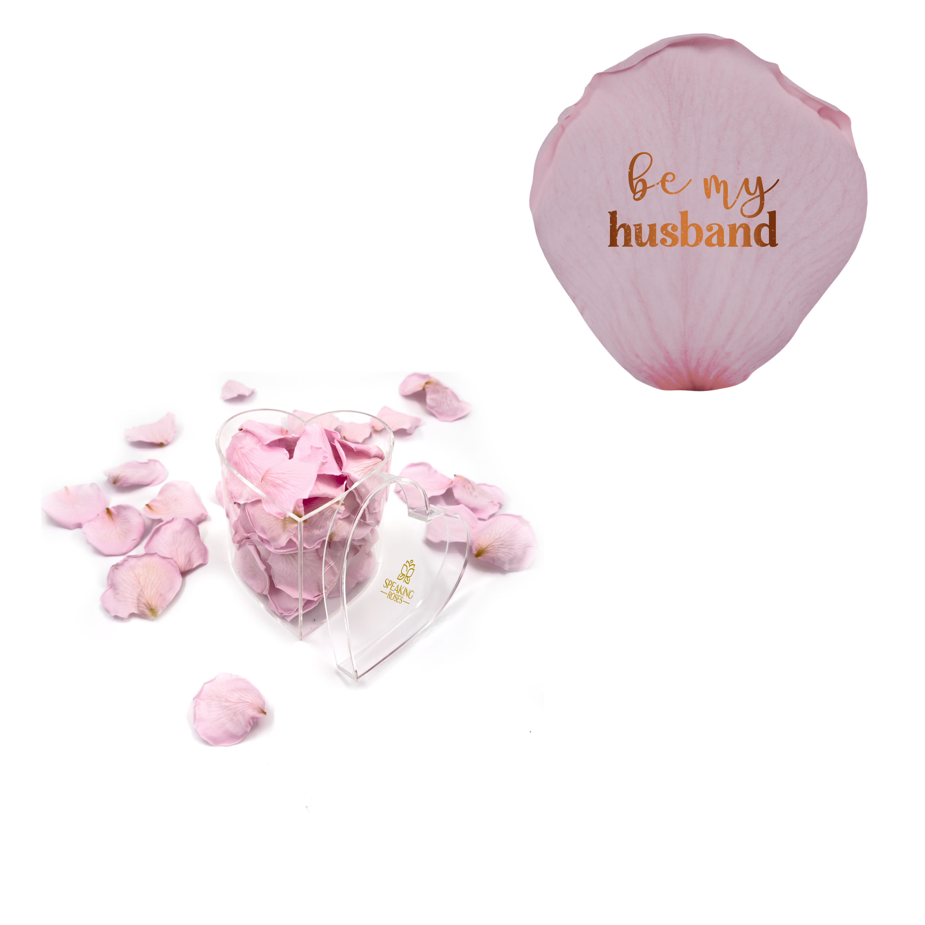 Be my husband - Heart Acrylic Box (100 Preserved Petals)