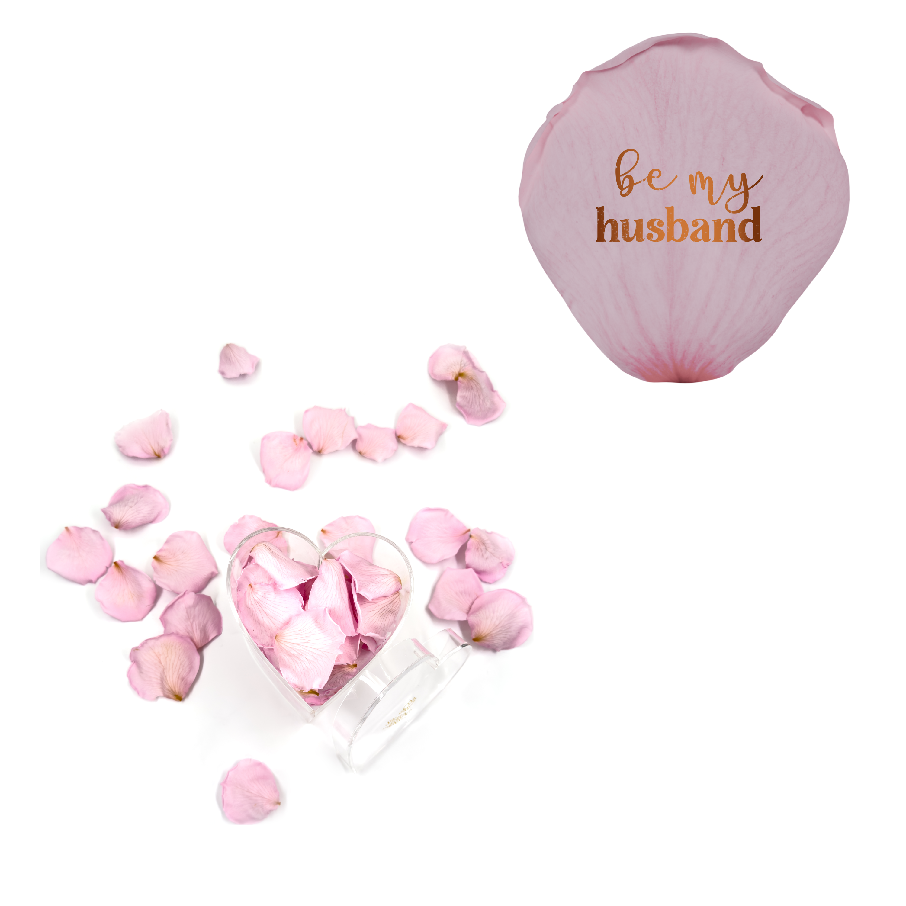 Be my husband - Heart Acrylic Box (100 Preserved Petals)