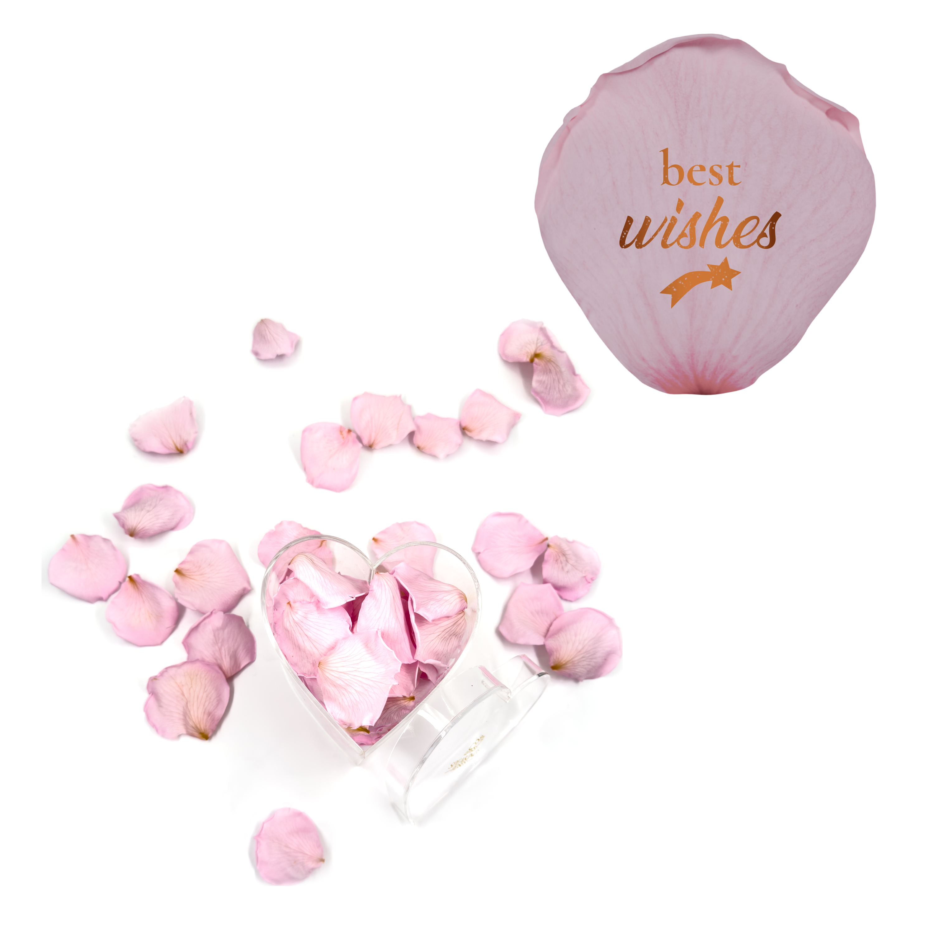 Best wishes! - Heart Acrylic Box (100 Preserved Petals)