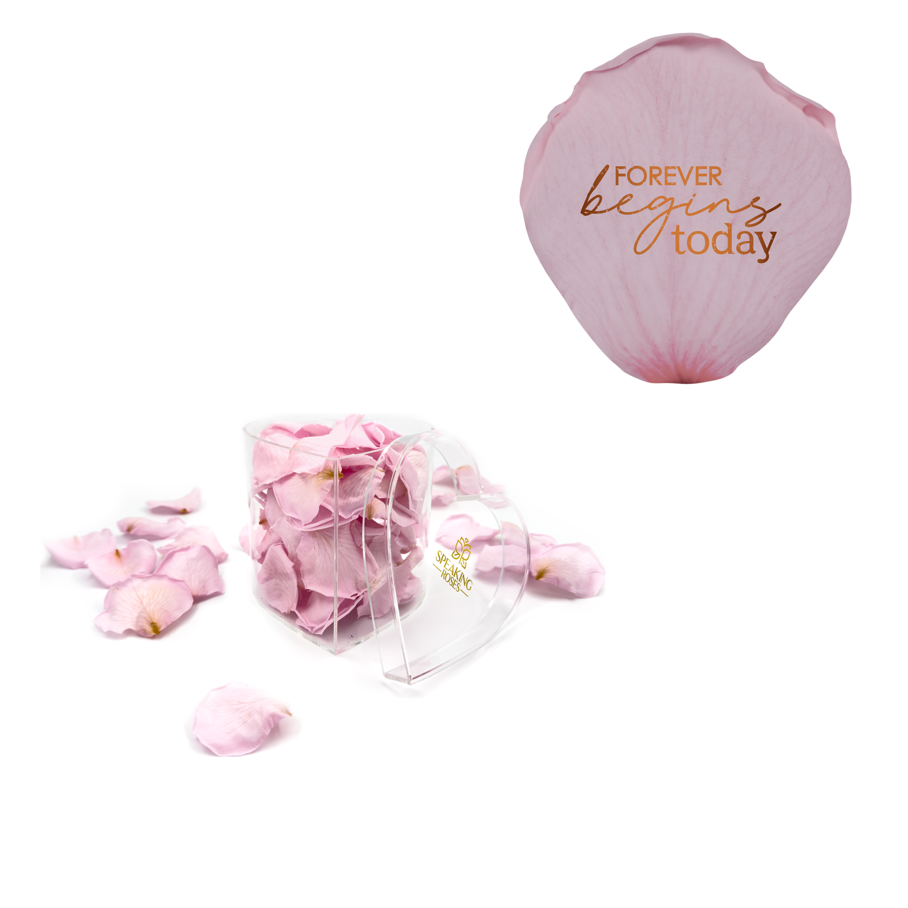 Forever begins today - Heart Acrylic Box (100 Preserved Petals)