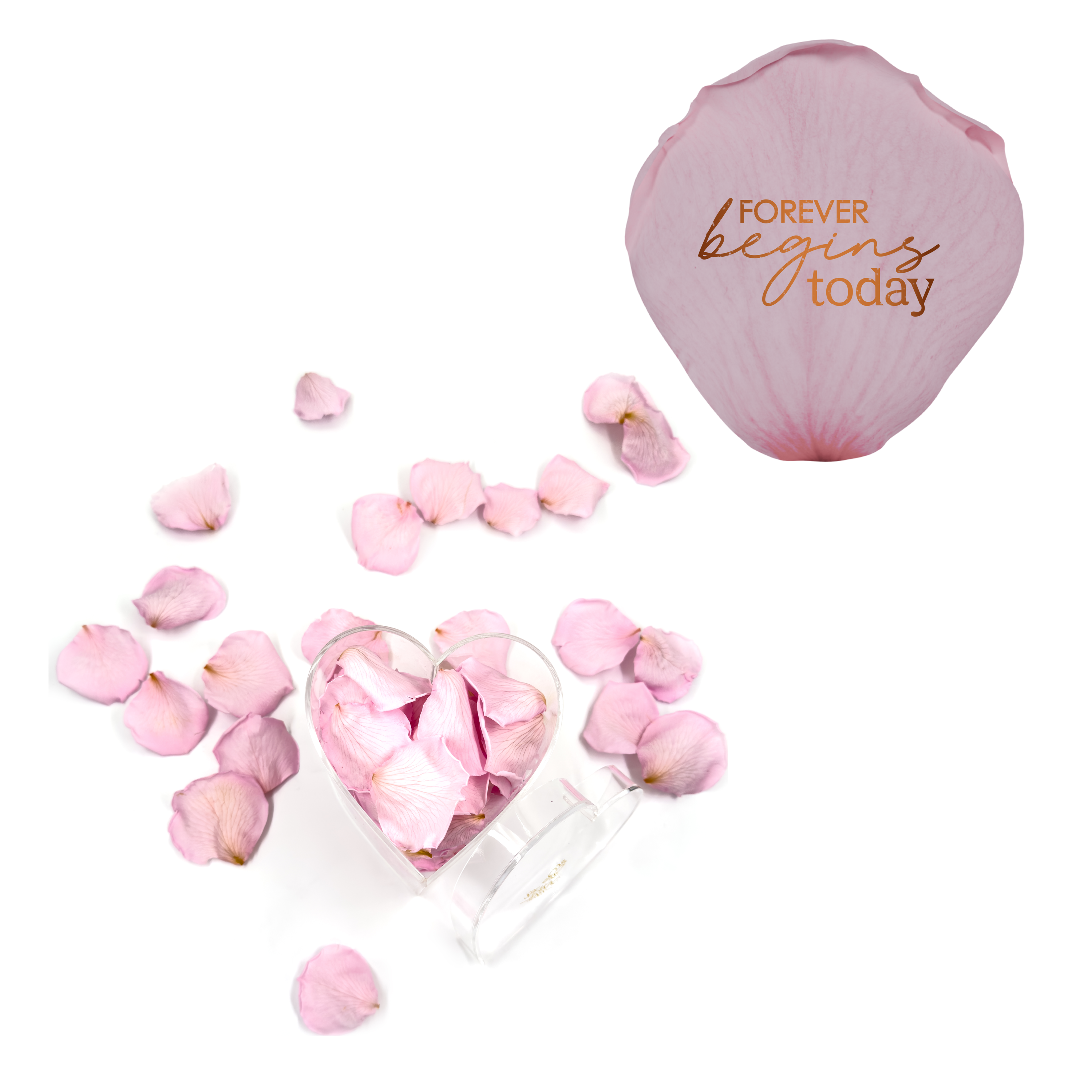 Forever begins today - Heart Acrylic Box (100 Preserved Petals)