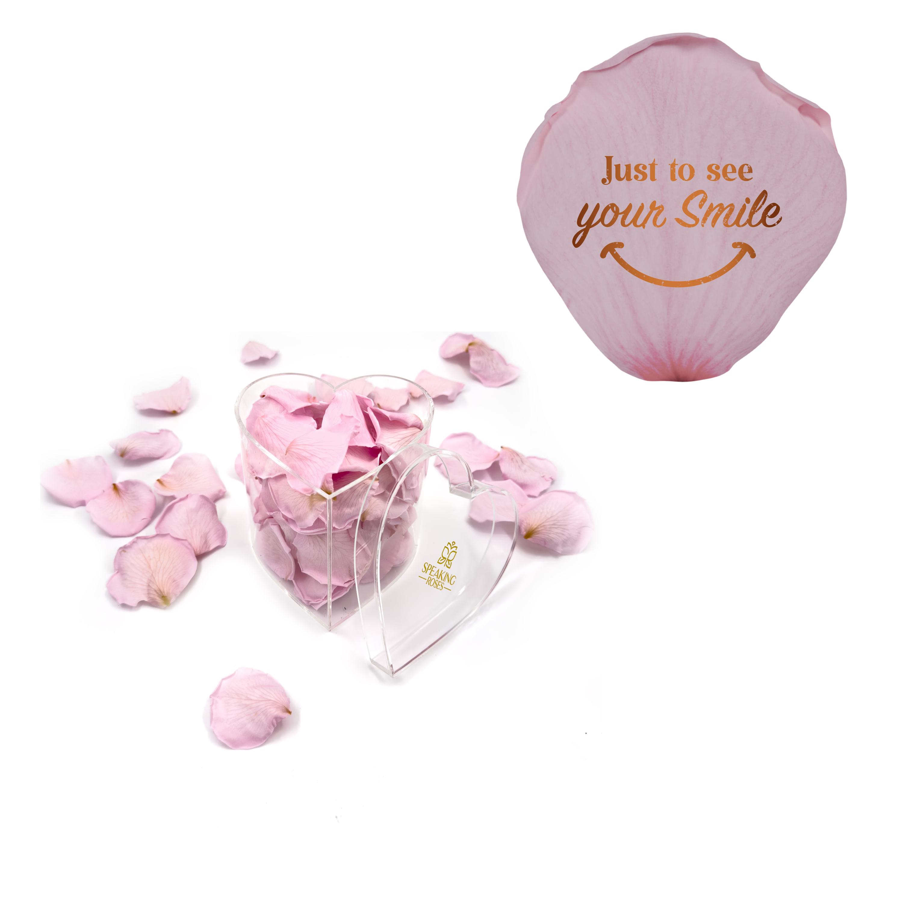 Just to see you smile - Heart Acrylic Box (100 Preserved Petals)