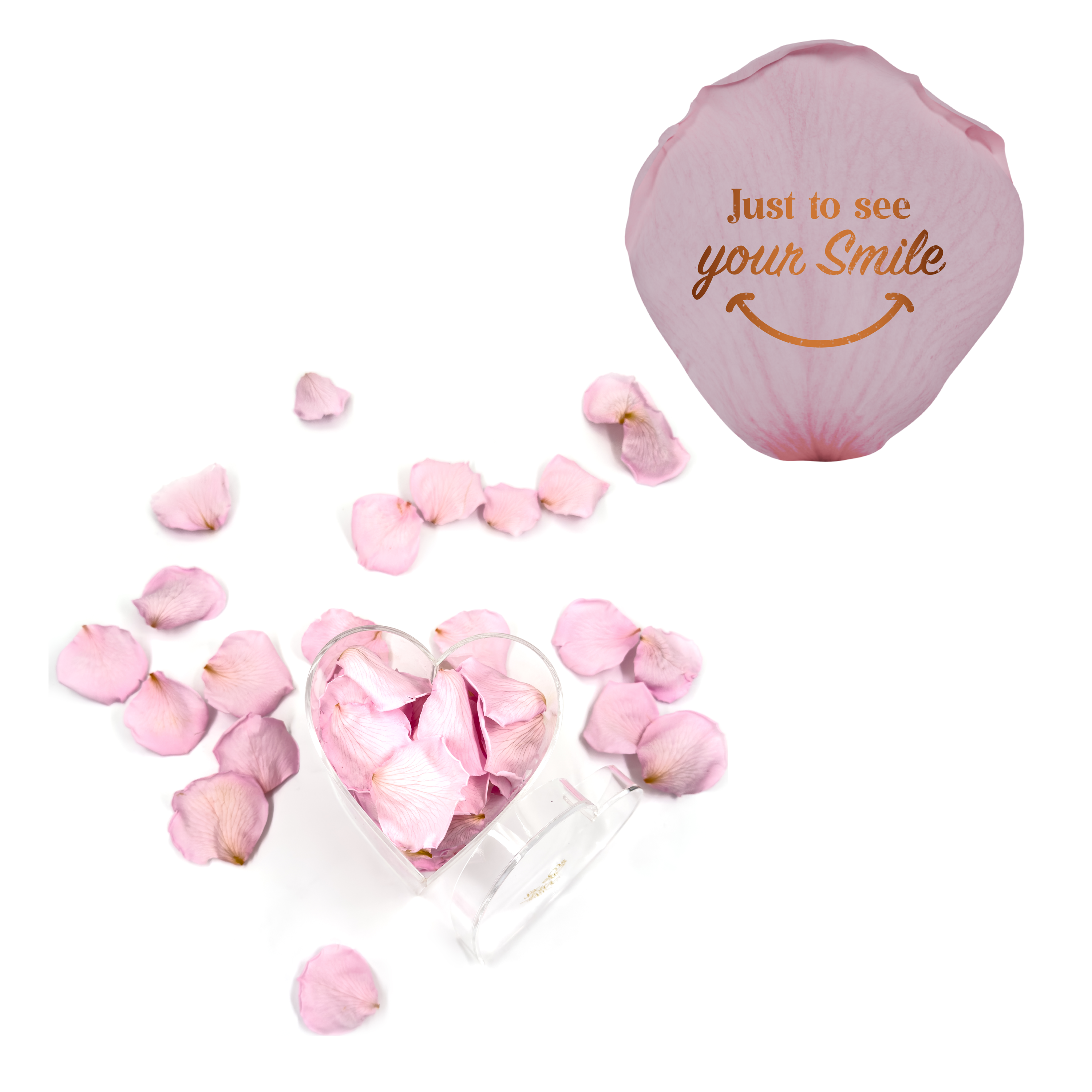 Just to see you smile - Heart Acrylic Box (100 Preserved Petals)