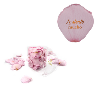 Lo siento mucho - Heart Acrylic Box  (100 Preserved Petals)