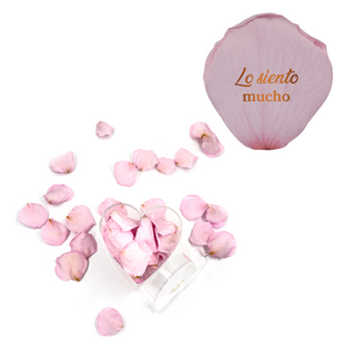 Lo siento mucho - Heart Acrylic Box  (100 Preserved Petals)