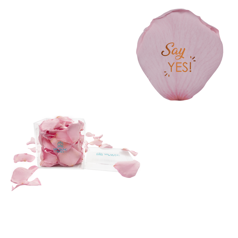 Say yes - Acrylic Square Box (150 Preserved Petals)