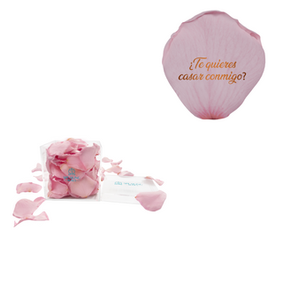 ¿Te quieres casar conmigo? - Acrylic Square Box (150 Preserved Petals)