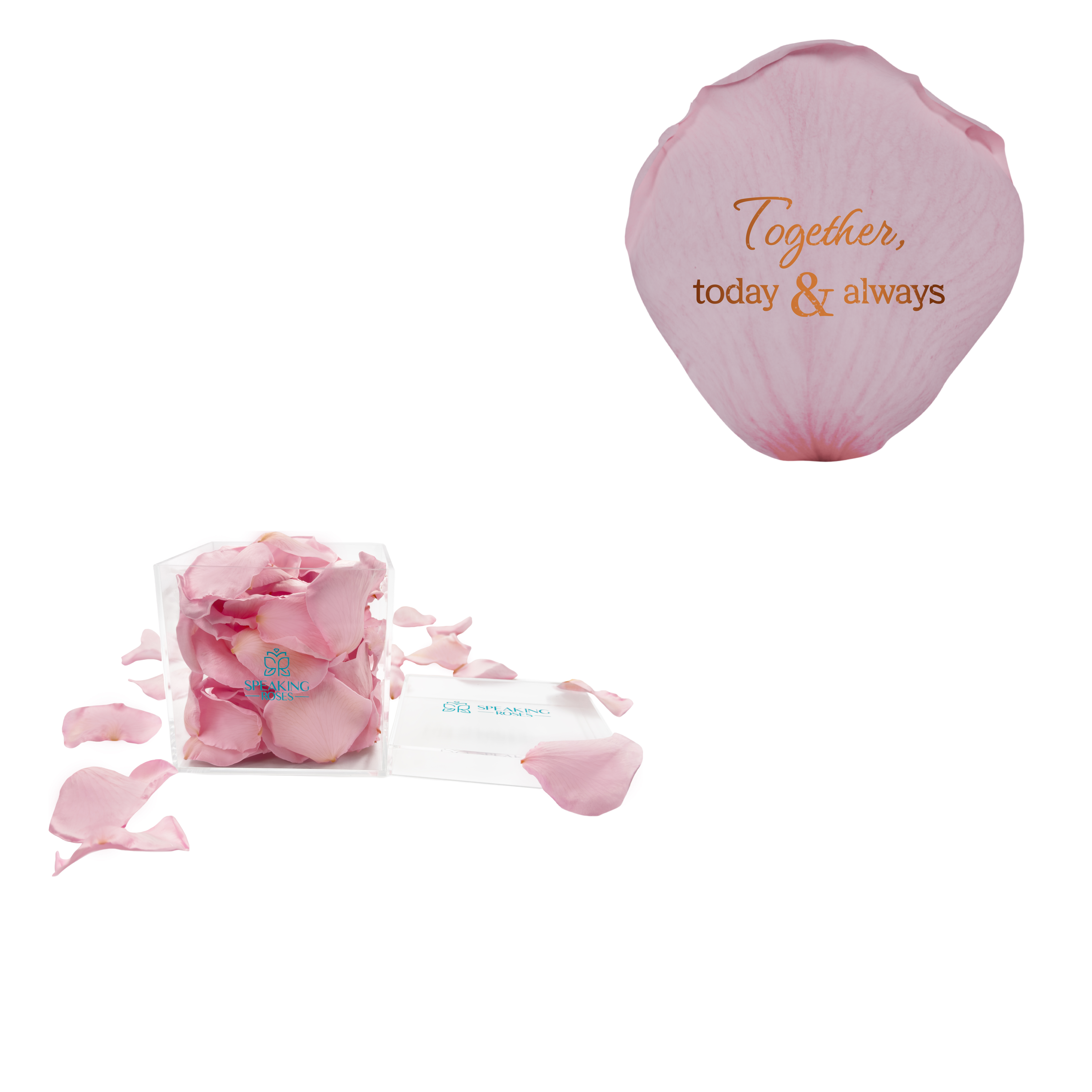 Together, today & always - Acrylic Square Box (150 Preserved Petals)