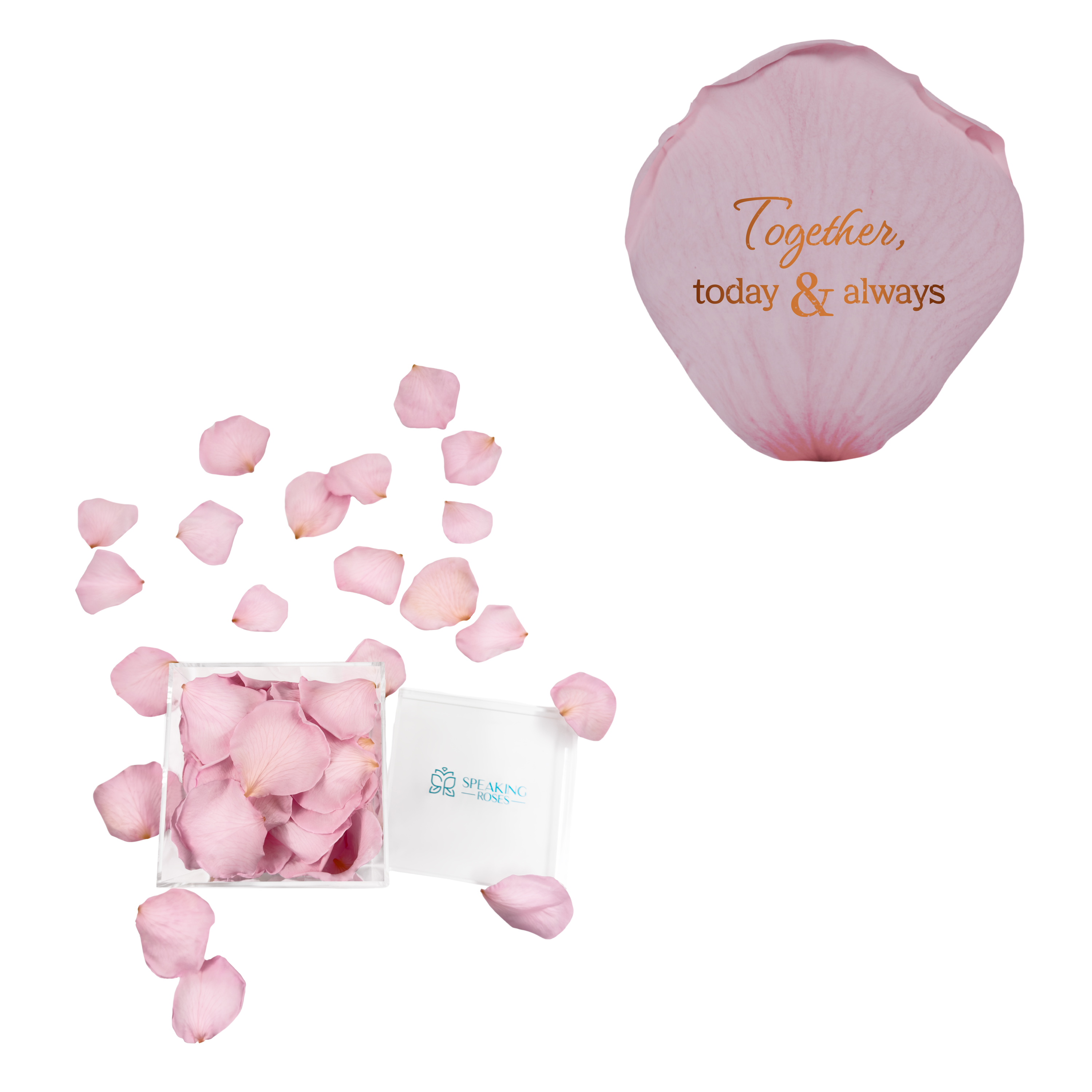 Together, today & always - Acrylic Square Box (150 Preserved Petals)