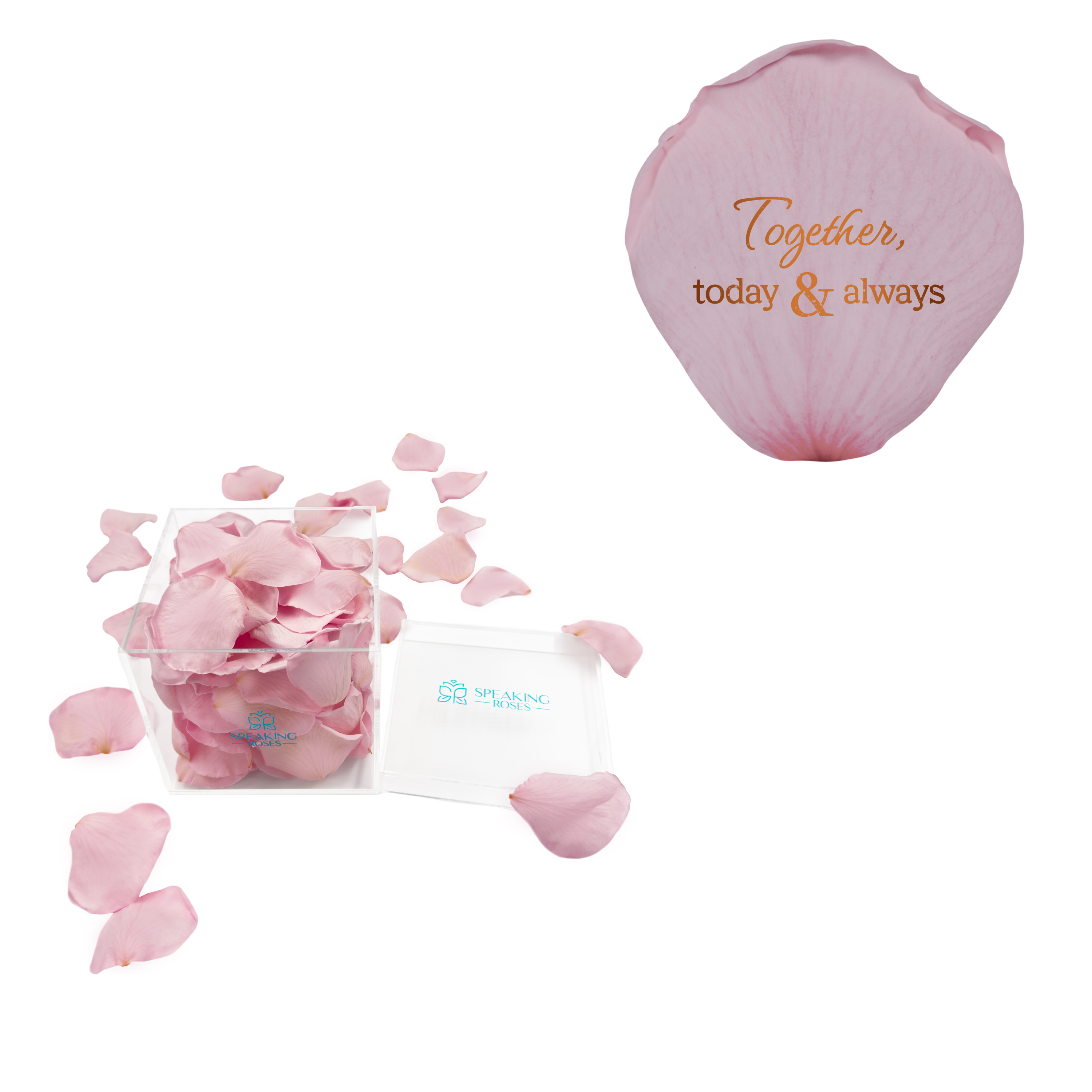 Together, today & always - Acrylic Square Box (150 Preserved Petals)