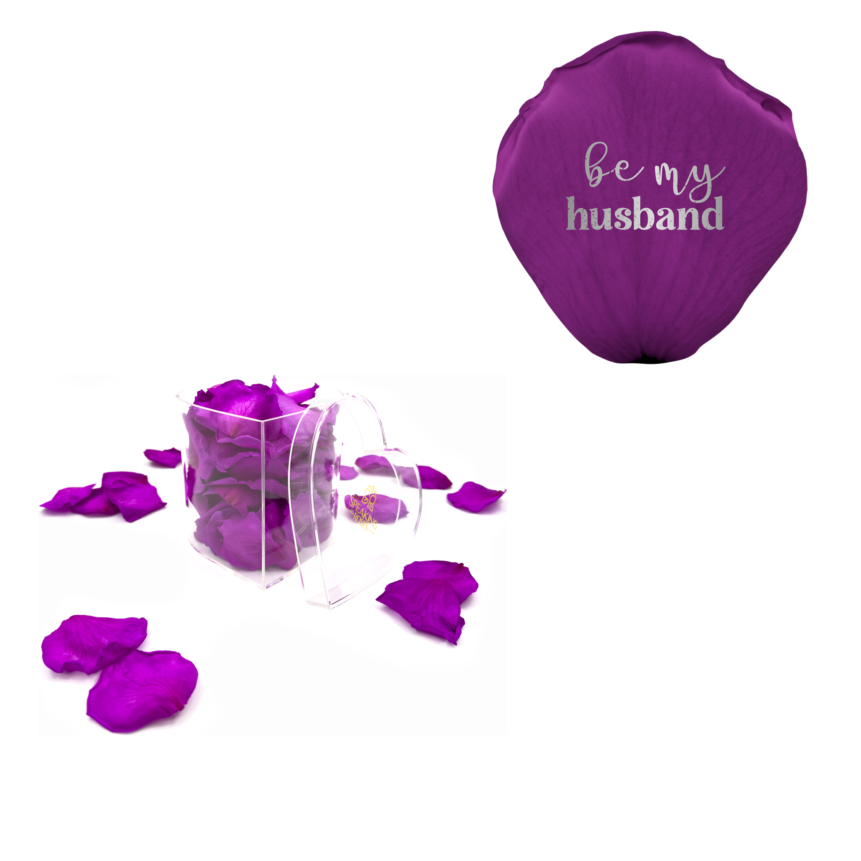 Be my husband - Heart Acrylic Box (100 Preserved Petals)