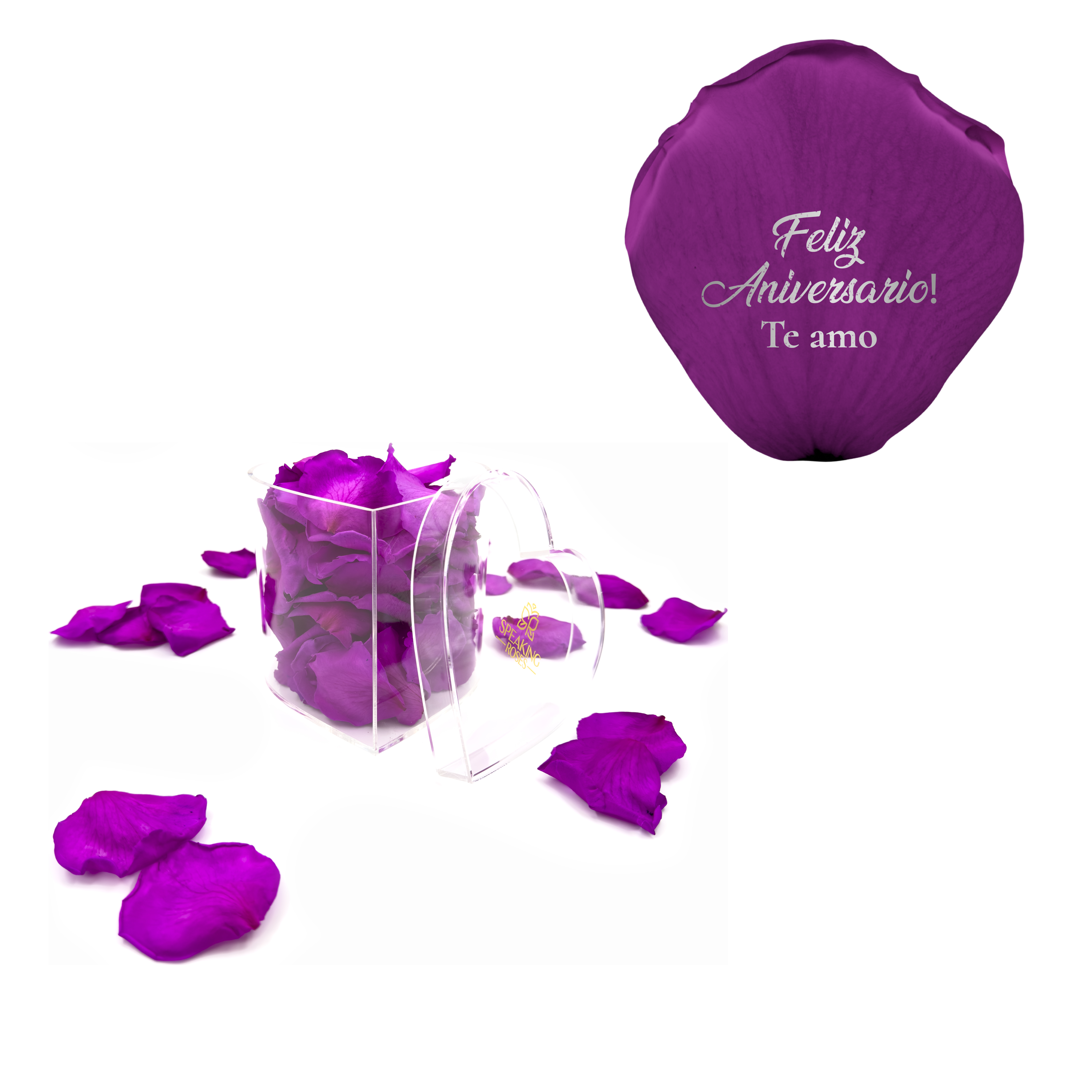 Feliz aniversario! Te amo - Heart Acrylic Box (100 Preserved Petals)