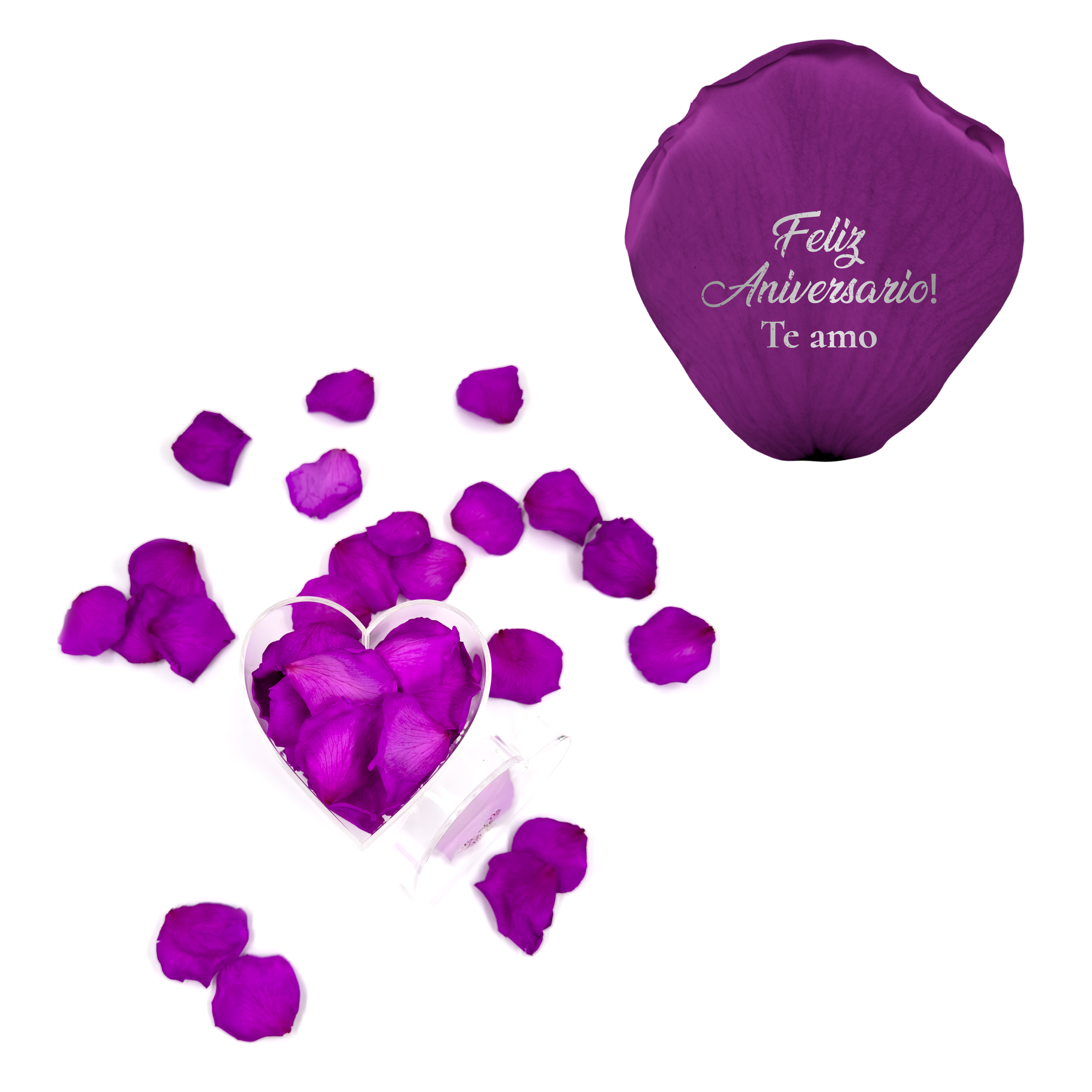 Feliz aniversario! Te amo - Heart Acrylic Box (100 Preserved Petals)