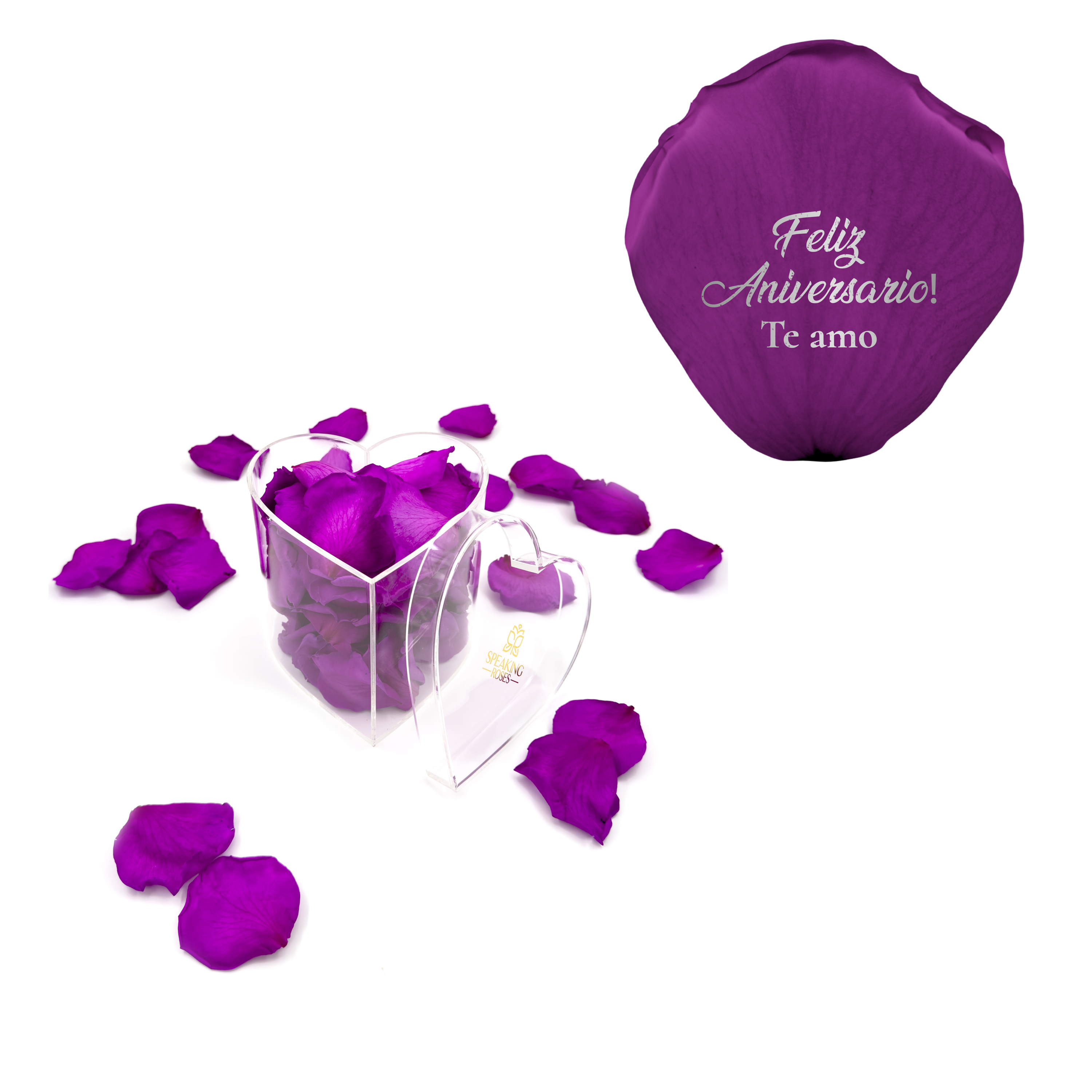 Feliz aniversario! Te amo - Heart Acrylic Box (100 Preserved Petals)