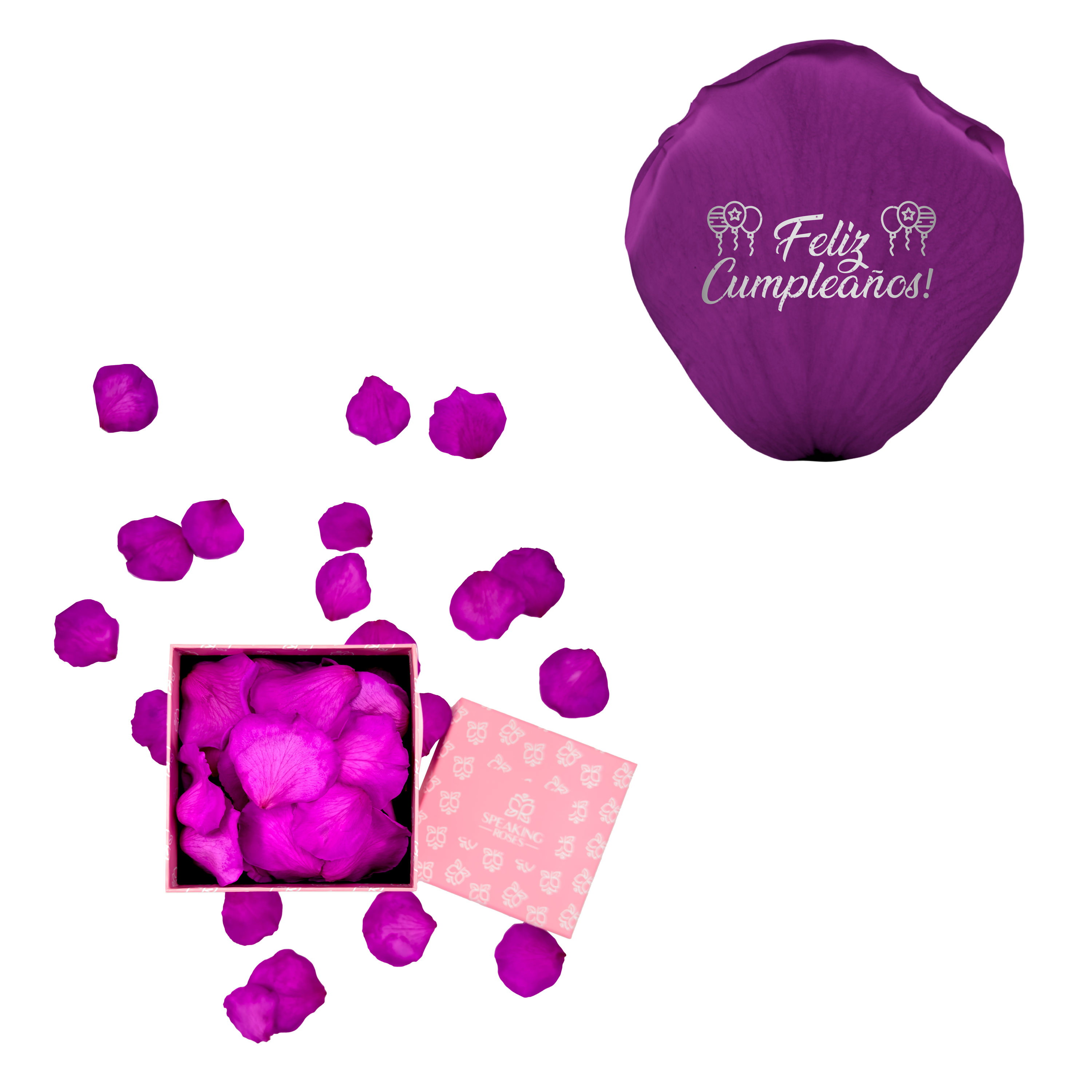 Feliz cumpleaños! - Square Paper Box (100 Preserved Petals)