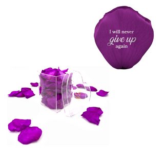 I will never give up again - Heart Acrylic Box  (100 Preserved Petals)