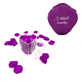 Lo siento mucho - Heart Acrylic Box  (100 Preserved Petals)