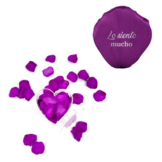 Lo siento mucho - Heart Acrylic Box  (100 Preserved Petals)