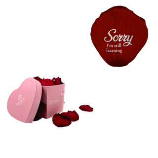 Sorry, I´m still learning - Heart Paper Box  (25 Preserved Petals)