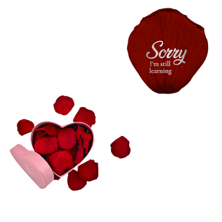 Sorry, I´m still learning - Heart Paper Box  (25 Preserved Petals)