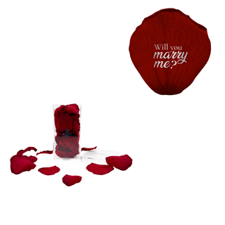 Will You Marry Me - Acrylic Square Box (50 Preserved Petals)