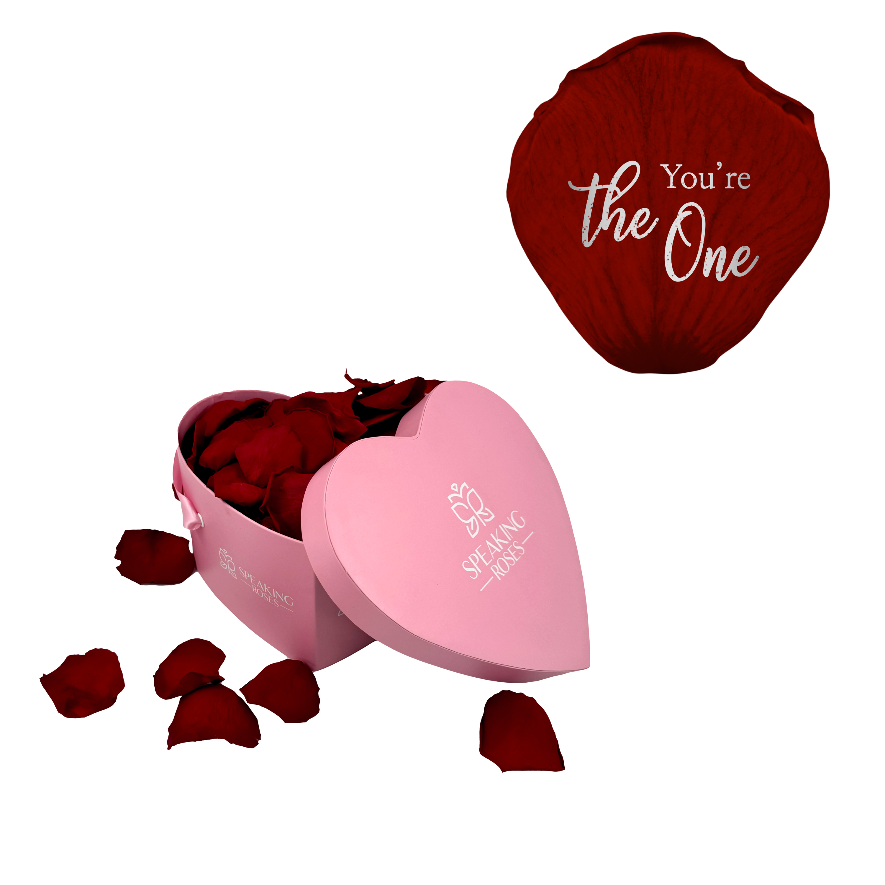 You're the One - Heart Paper Box (100 Preserved Petals)