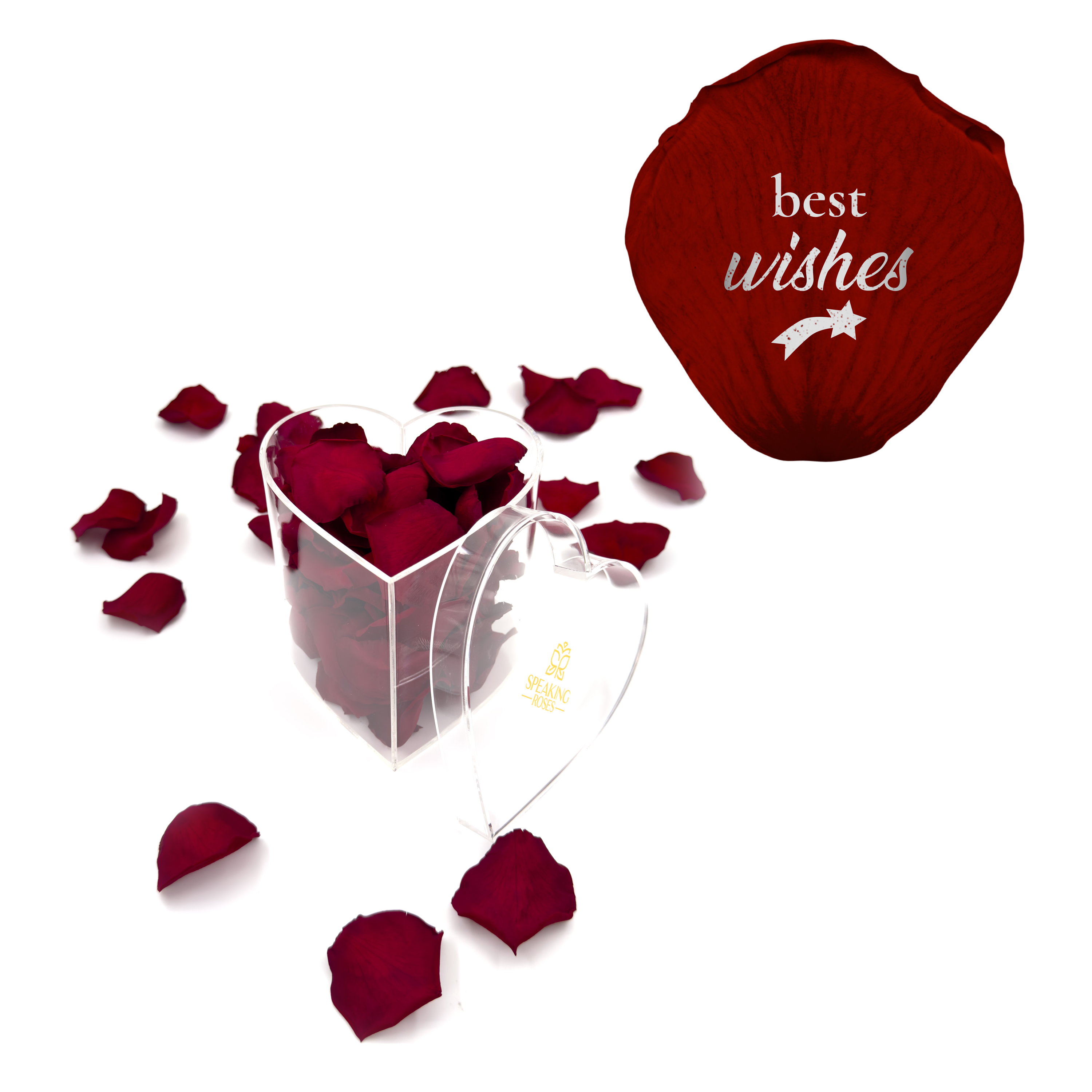 Best wishes! - Heart Acrylic Box (100 Preserved Petals)