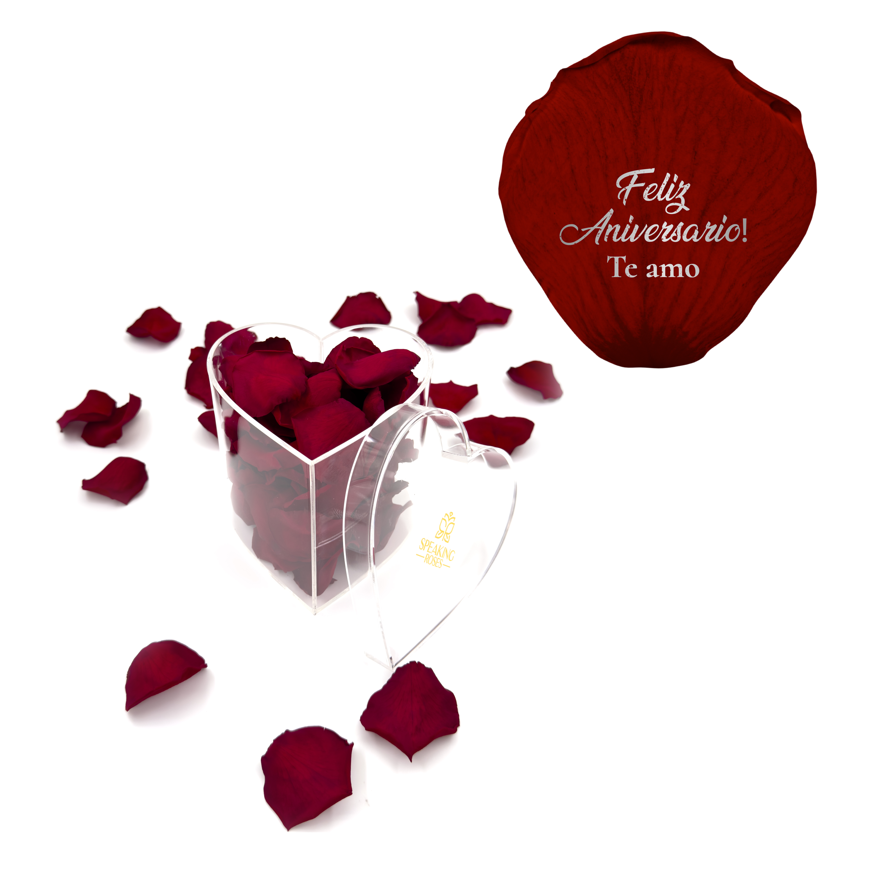 Feliz aniversario! Te amo - Heart Acrylic Box (100 Preserved Petals)