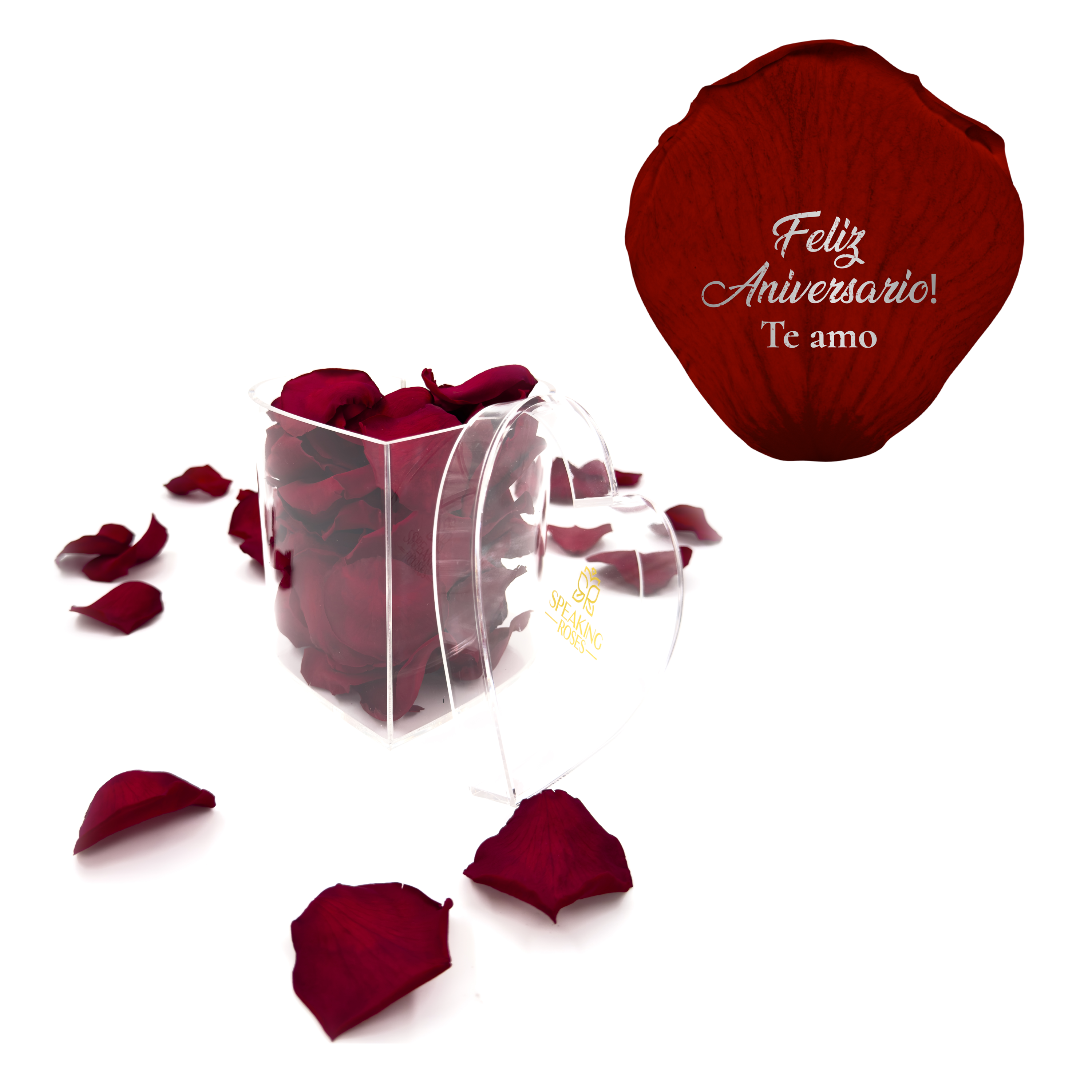 Feliz aniversario! Te amo - Heart Acrylic Box (100 Preserved Petals)