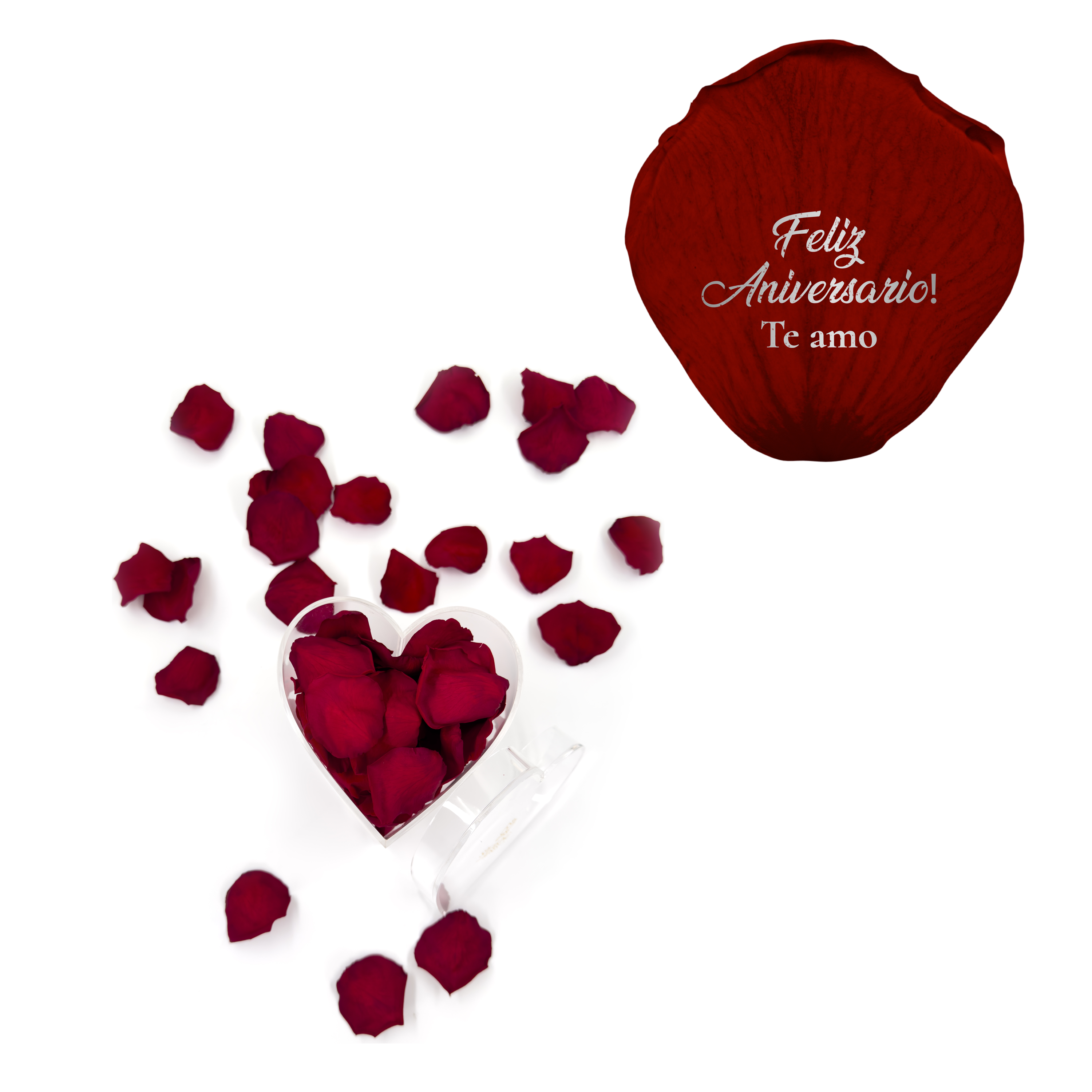 Feliz aniversario! Te amo - Heart Acrylic Box (100 Preserved Petals)