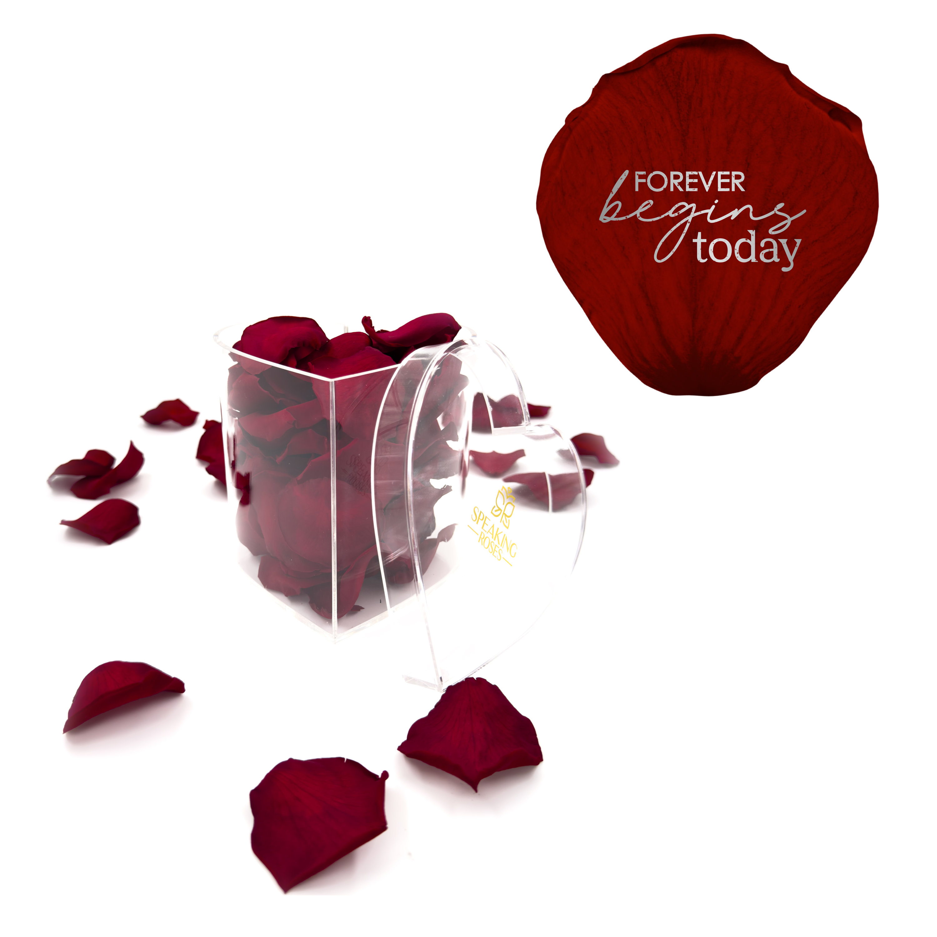 Forever begins today - Heart Acrylic Box (100 Preserved Petals)