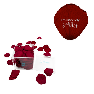 I'm sincerely sorry  - Acrylic Square Box (150 Preserved Petals)