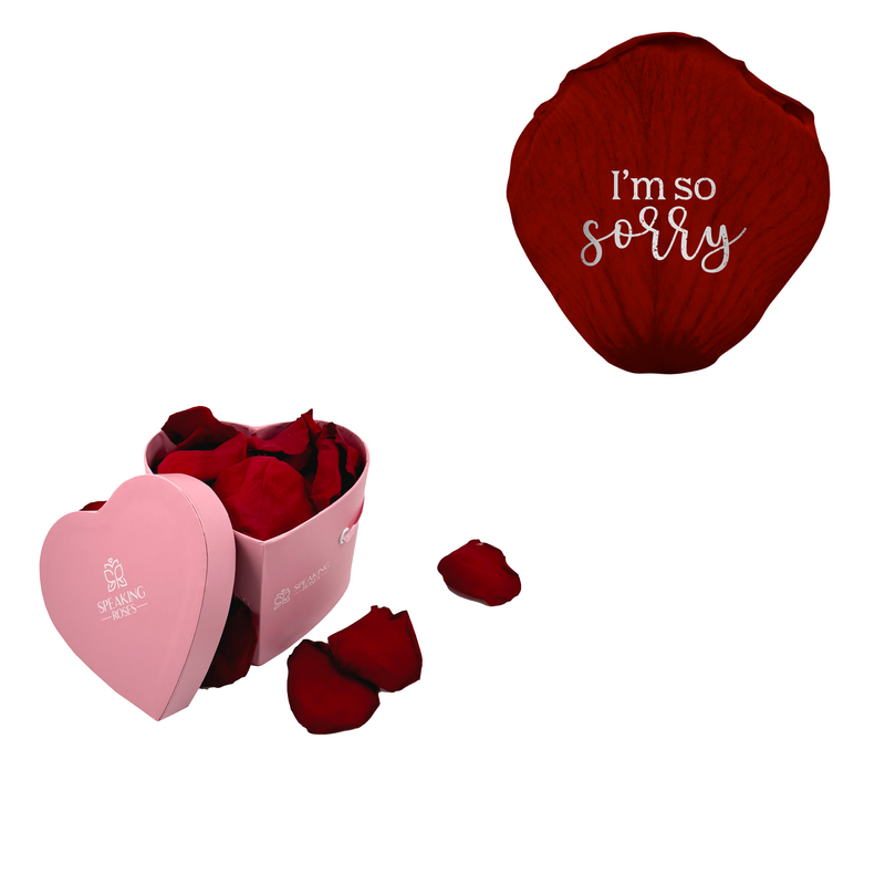 I´m sorry - Heart Paper Box (25 Preserved Petals)