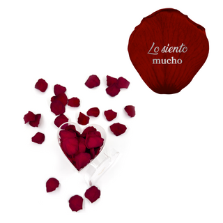 Lo siento mucho - Heart Acrylic Box  (100 Preserved Petals)