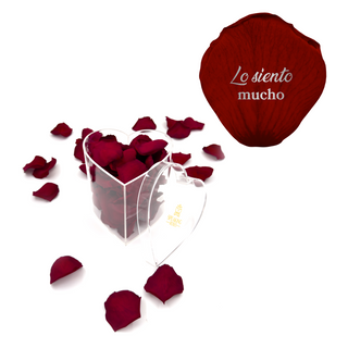 Lo siento mucho - Heart Acrylic Box  (100 Preserved Petals)