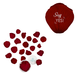 Say yes - Acrylic Round Box (25 Preserved Petals)