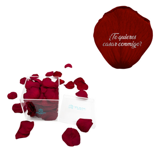 ¿Te quieres casar conmigo? - Acrylic Square Box (150 Preserved Petals)