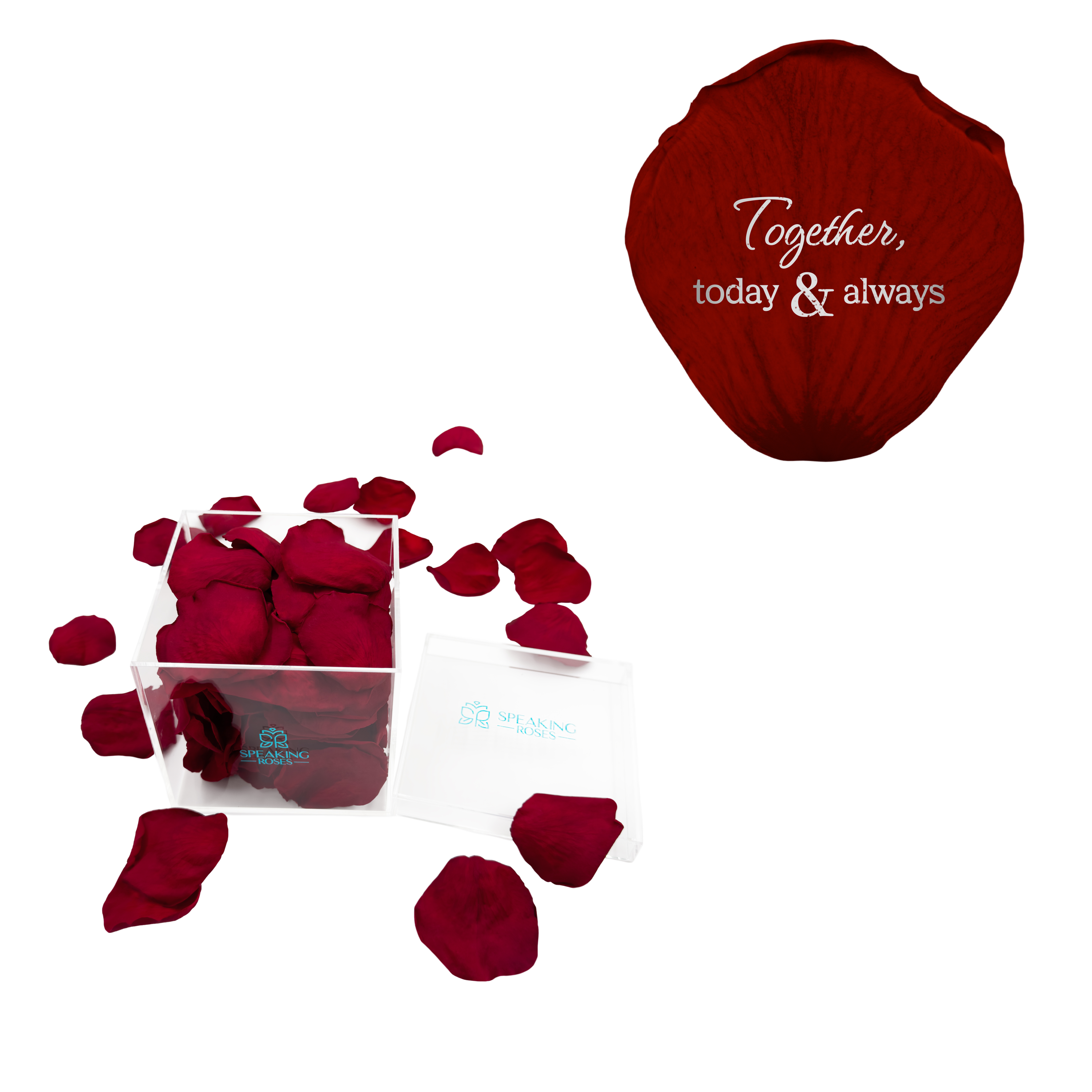 Together, today & always - Acrylic Square Box (150 Preserved Petals)