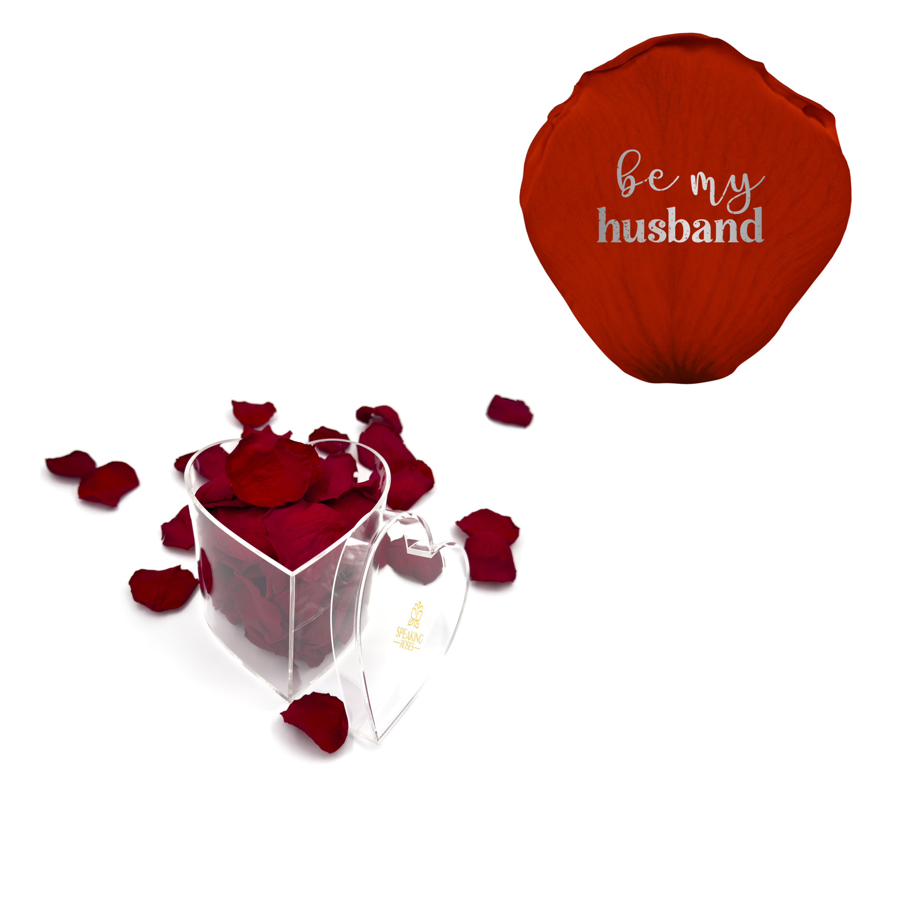 Be my husband - Heart Acrylic Box (100 Preserved Petals)