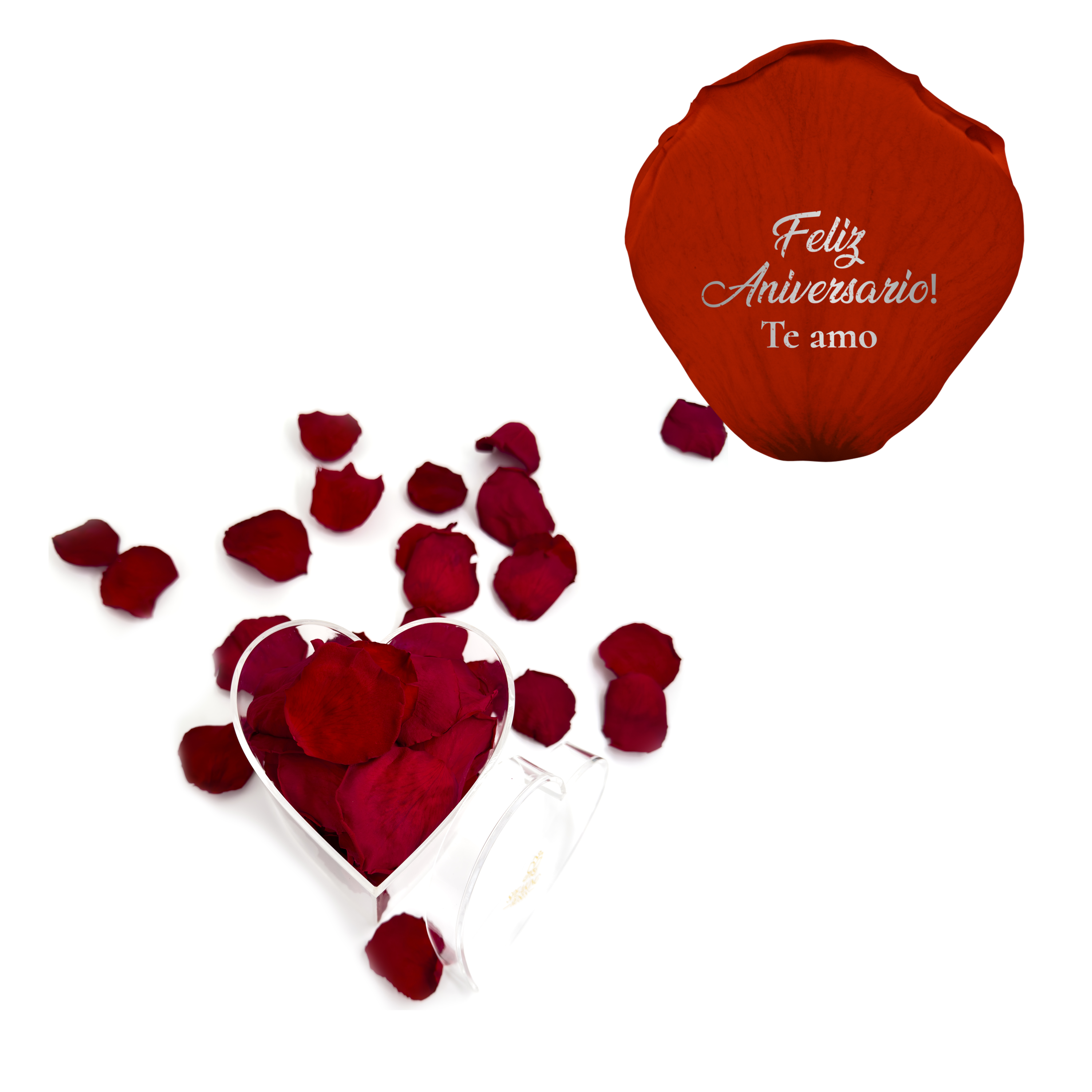 Feliz aniversario! Te amo - Heart Acrylic Box (100 Preserved Petals)