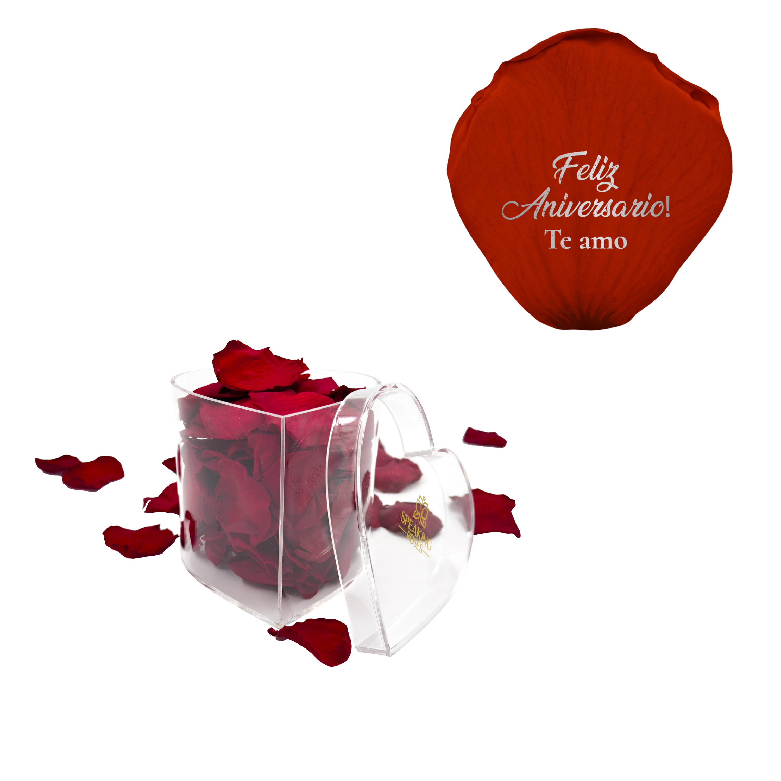 Feliz aniversario! Te amo - Heart Acrylic Box (100 Preserved Petals)