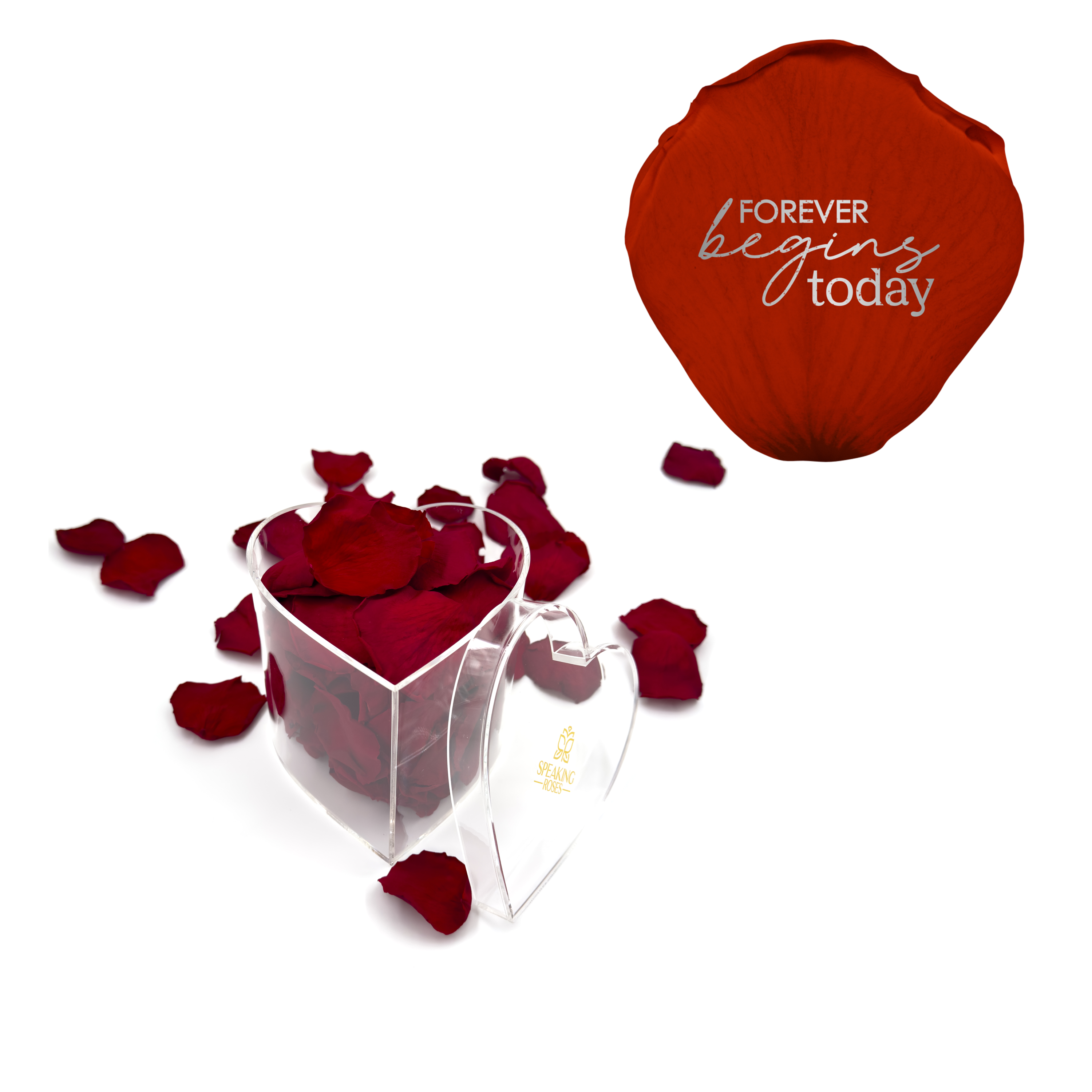 Forever begins today - Heart Acrylic Box (100 Preserved Petals)