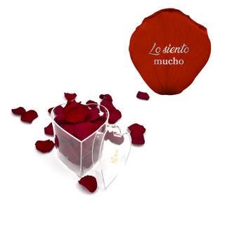 Lo siento mucho - Heart Acrylic Box  (100 Preserved Petals)
