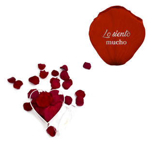 Lo siento mucho - Heart Acrylic Box  (100 Preserved Petals)